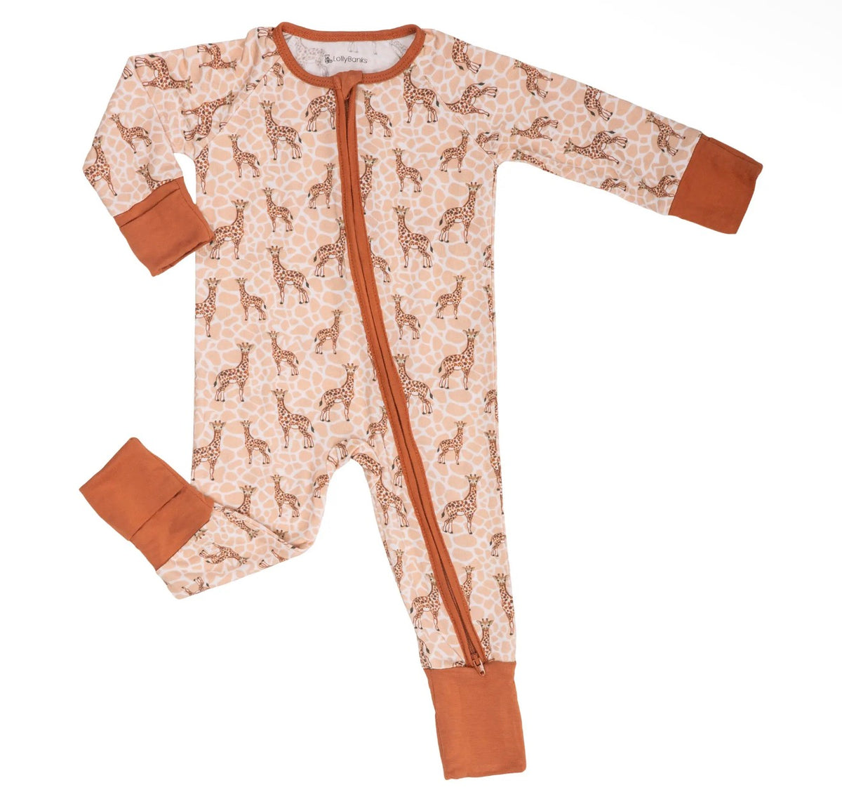 Wild Giraffes Zippy